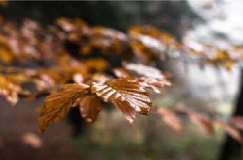 Sabaha olan hava proqnozu açıqlanıb