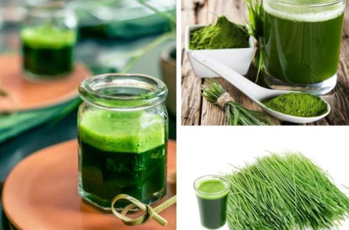 Buğda suyunun İNANILMAZ FAYDALARI: Hər gün bir stəkan içsəniz...