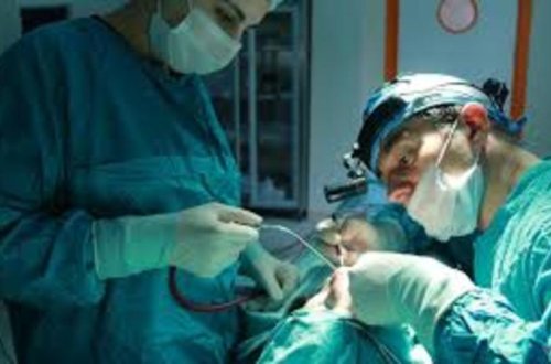 Azərbaycanda meyitdən orqan köçürülməsinə başlanılacaq