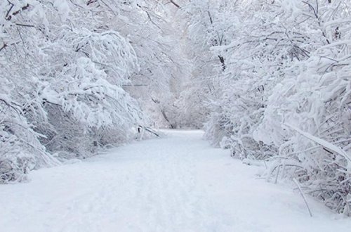 Yanvar ayının HAVA PROQNOZU: Soyuqlar bizi gözləyir