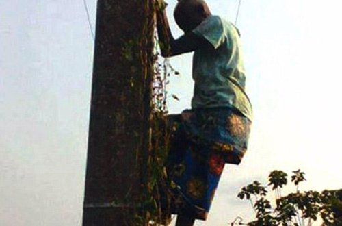 80 yaşlı qarı qorxudan dirəyə çıxdı: 