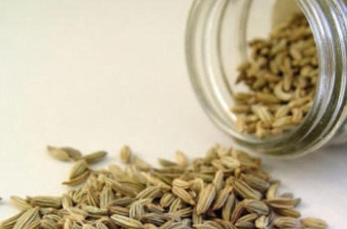 Sümükləri bərkidən və arıqlamağa yardım edən bitki