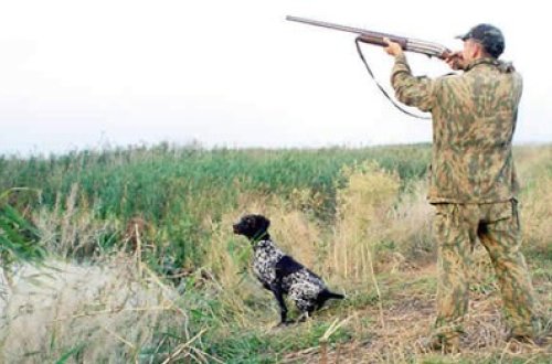 Azərbaycanda silah satışına icazə verilən hallar