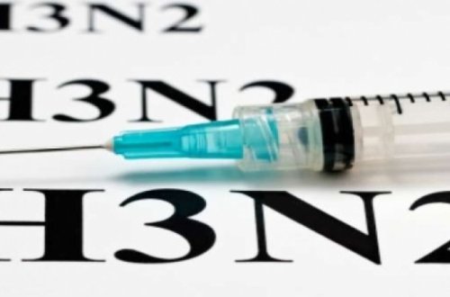 Azərbaycanda da yayılan H3N2 virusundan dünyada yarım milyon adam ölüb