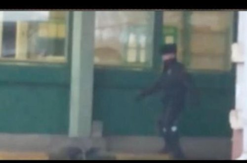 Sərhəddə QƏRİBƏ OLAY: Qarğa gömrükdə pasport oğurladı - VİDEO