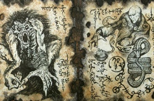 Dəli olmaq və ölmək istəmirsizsə, oxumayın! - FOTOLAR