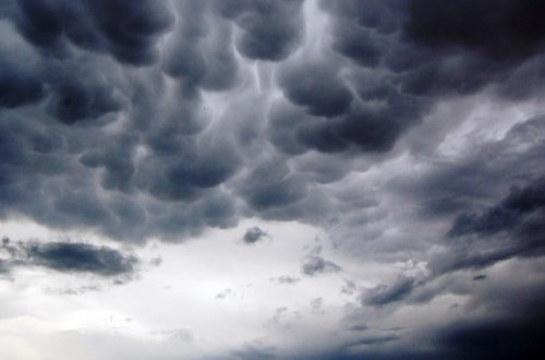 İstirahət günü hava buludlu və yağmursuz olacaq