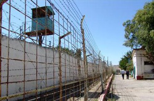 İşgəncələrə qarşı Komitə həbsxanadakı intiharı araşdırdı