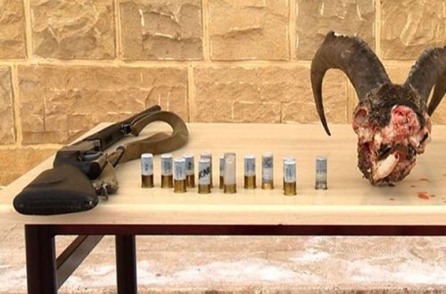 Naxçıvanda dağ keçisi ovlayan şəxs saxlanılıb