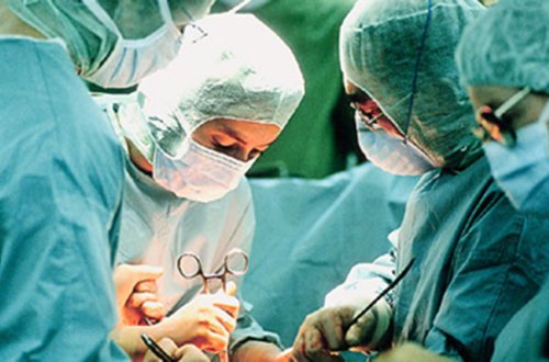 Kor bağırsağın insana nə üçün lazım olduğu açıqlandı