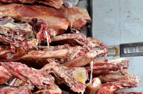 Bakıda mənşəyi məlum olmayan 2 tondan çox ət aşkar edilib