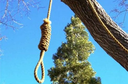 Neftçalada çobanın FACİƏVİ SONU: Qoyun otarmağa getdi, intihar etdi