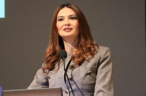 Bu hadisəyə hamımız sərt münasibət bildirməliyik!