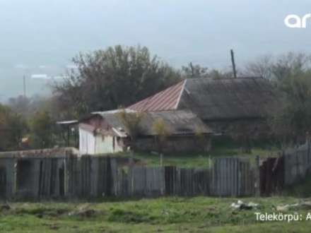 Ər arvadını bıçaqlayaraq komalıq etdi - VİDEO