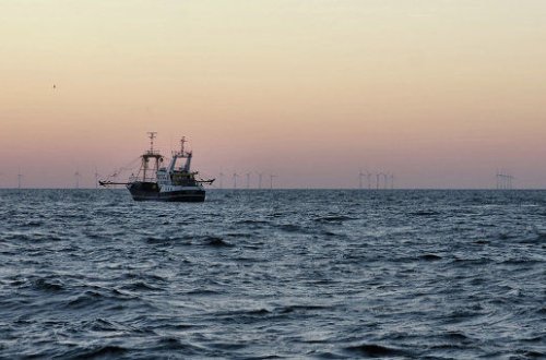 Şimal dənizində yük gəmisi batıb