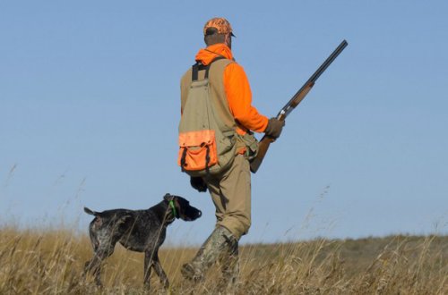 Qanunsuz ov edən Bakı sakinindən üç silah götürülüb