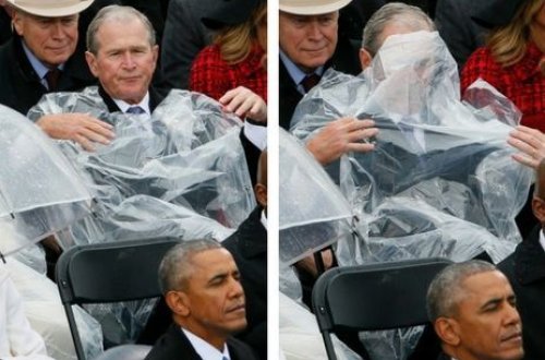 Corc Buşun yağış plaşı ilə “şou”su – FOTO