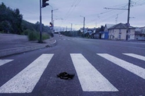 Lənkəranda sürücü vurduğu piyadanı xəstəxanaya apardıqdan sonra qaçıb