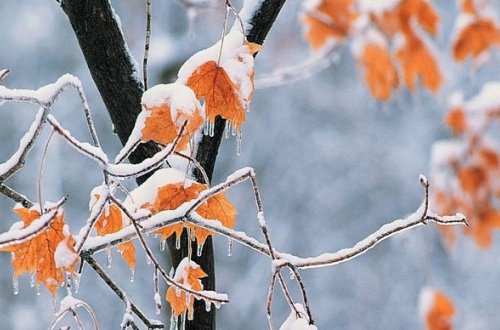 Sabaha olan hava proqnozu açıqlanıb
