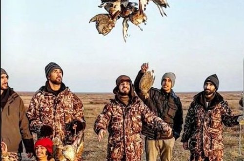 Zəngin ərəb şahzadə və şeyxlərinin Azərbaycandakı ov macəraları – FOTO + VİDEO