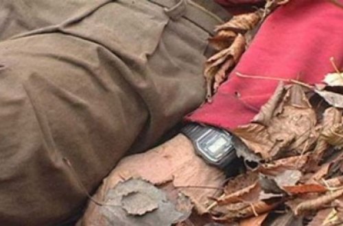 Tovuzda polis maşını ilə minik avtomobili toqquşdu: - 1 ölü, 1 yaralı