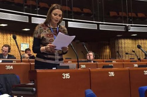 Millət vəkili Q.Paşayeva AŞPA-da Çingiz Qurbanov, Dilqəm Əsgərov və Şahbaz Quliyevlə bağlı çağırış edib