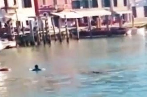 DƏHŞƏT: Mühacir göldə boğuldu: Hamı qəhqəhə ilə izlədi