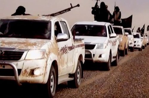 İŞİD-in 22 üzvü ələ keçdi