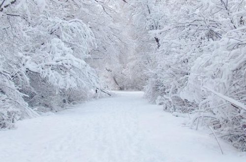 Ölkədə faktiki hava necədir? - Qar 21 sm-ə çatdı