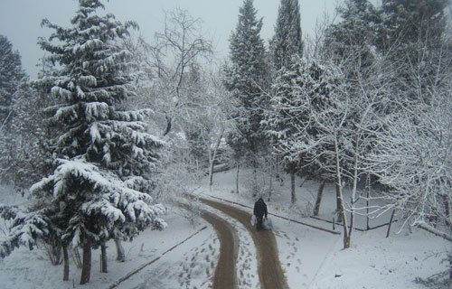Qar nə vaxta qədər yağacaq? – NAZİRLİK AÇIQLADI