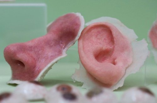 İnsanın ömrünü uzatmaq üçün yeni üsul: İNQİLABİ YENİLİK