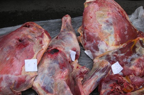 Mənşəyi məlum olmayan heyvan cəmdəkləri aşkarlandı - FOTOLAR