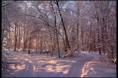 Sabaha yağıntısız hava proqnozlaşdırılır