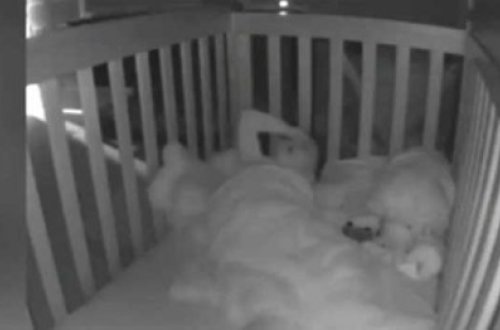 2 yaşlı uşağın hərəkəti hamını şoka saldı - VİDEO