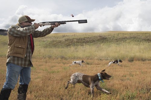 Azərbaycanda ov edən 16 əcnəbi saxlanılıb