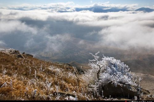 Ermənistanın Tavuş rayon sakinləri Azərbaycana keçmək istəyir - FOTOLAR