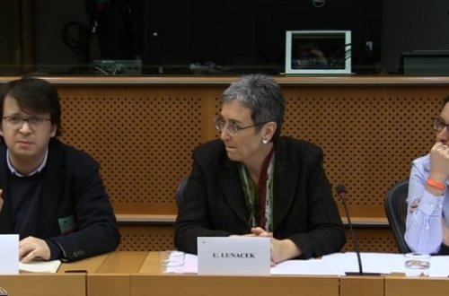 Strateji sənədə qarşı Brüssel badımcanı – TƏHLİL