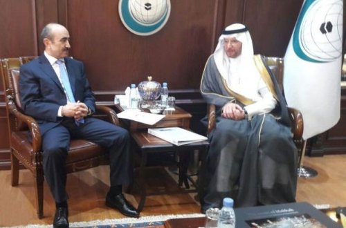 Əli Həsənov İƏT-in baş katibi ilə danışıqlarda – FOTO