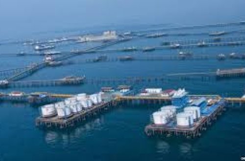 SOCAR: “Neft Daşları