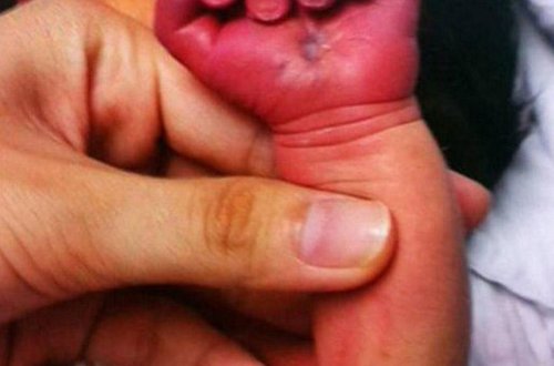 DƏHŞƏT ! Ana yenicə dünyaya gətirdiyi övladını gəmirməyə başladı