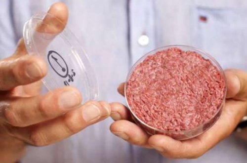 Neftdən ət, yağ, ikra, pendir düzəldirlər? -Gözlənilməz