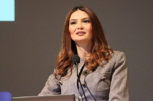 Millət vəkili Fransa prezidentinə etiraz etdi