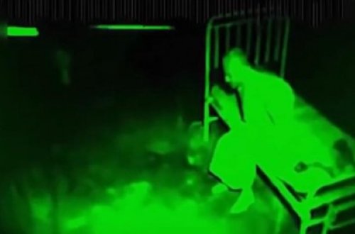 Gizli kameraya düşən QƏRİBƏ VARLIQLAR - TÜKÜRPƏDƏN VİDEO