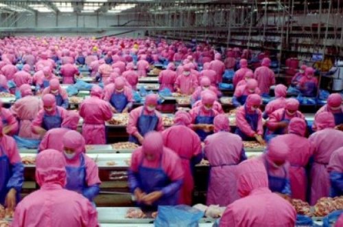 Bu VİDEOya baxandan sonra diliniz tutulacaq