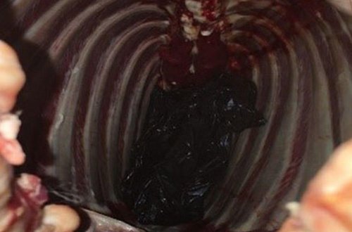 Qoyun ətinin içindən elə şey çıxdı ki - FOTO