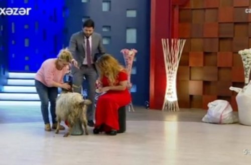 Zaurun verilişində BU DA OLDU: 