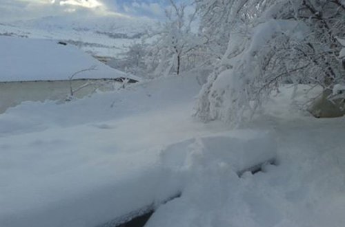 Lerikdə çovğun fəsadlar yaradıb