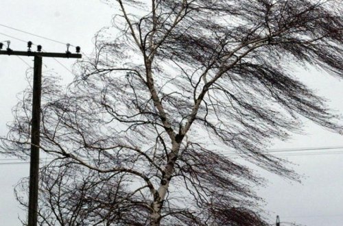 Güclü külək əsəcək - XƏBƏRDARLIQ