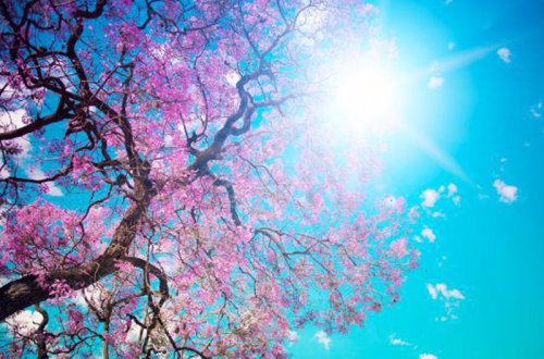 Mart ayının HAVAsı