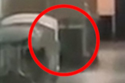 Şok kadrlar: xəstəxanada ölü uşağın ruhu dolaşır - VİDEO 